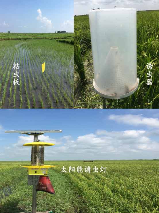 物理、生物防蟲